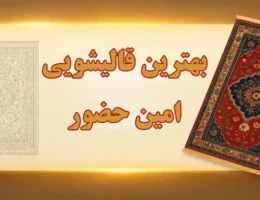 15-بهترین-قالیشویی-امین-حضور